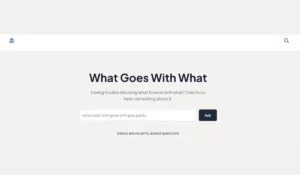 FashionAdvisor ai tool תוכנה בינה מלאכותית