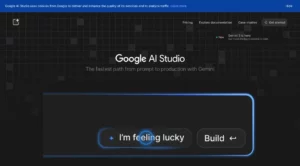 Google AI Studio - Google AI Studio